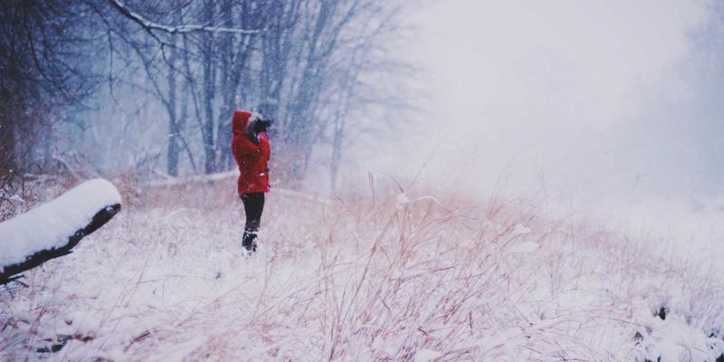 人文交流与文化遗产：美国独立战争中的外交智慧与历史启示