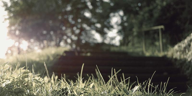 从历史论坛看文化传承:数字时代如何重塑历史知识传播