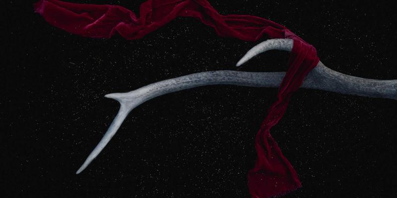 历史32：在历史论坛中搭建人文交流的桥梁