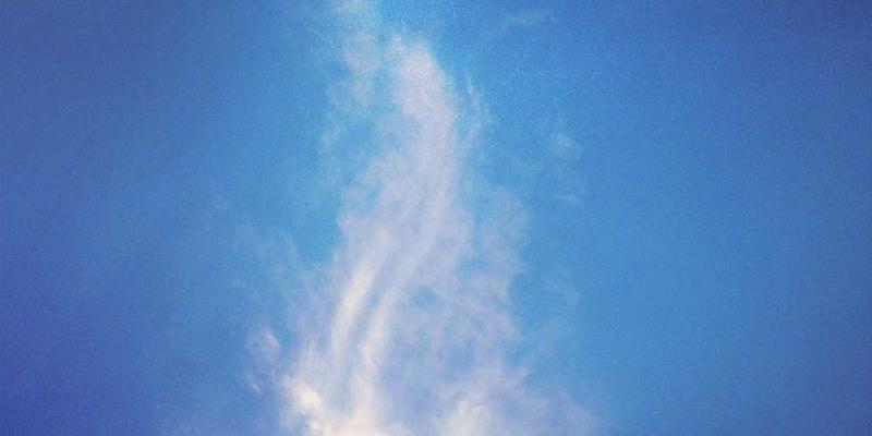 历史45：探寻历史知识的深度与历史研究的现代转型