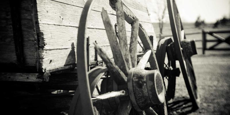 历史52:解码文明密码,探寻文化传承的深层逻辑