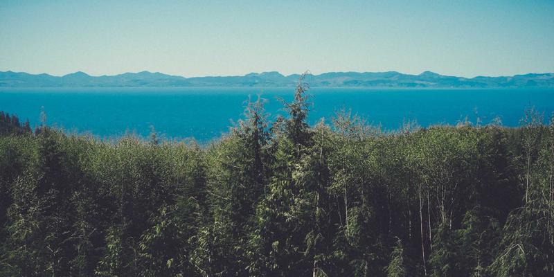 历史61：在文化脉络与论坛激荡中重识历史的温度