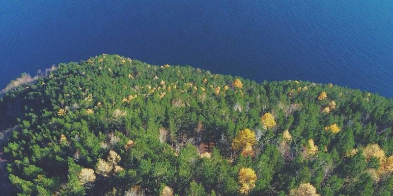 历史88：连接文化遗产、历史研究与大众知识的桥梁