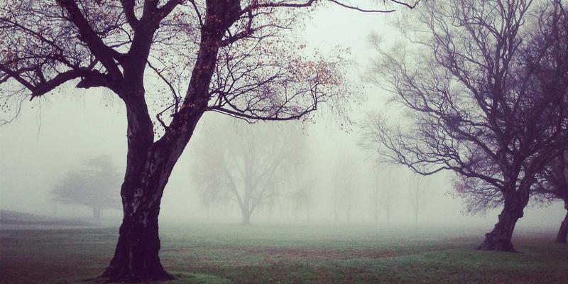 历史研究：连接过去与未来的桥梁，守护文化遗产的明灯