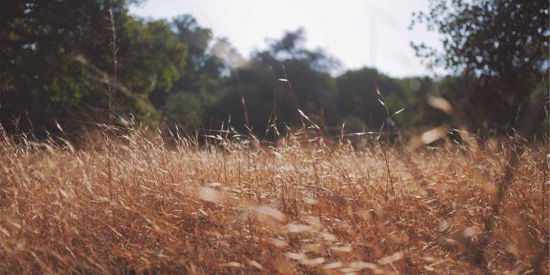 历史长河中的文化印记：从遗产看文明发展的深层逻辑