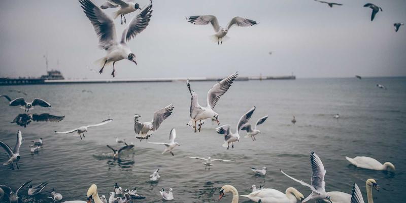 口述历史：记录边缘群体声音的文化遗产守护与人文交流实践