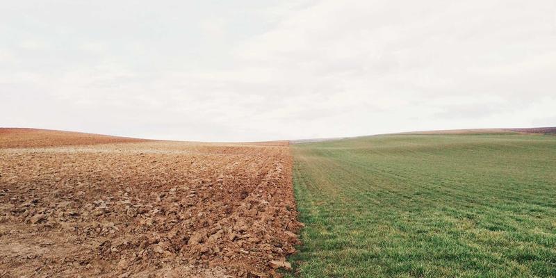 探寻历史最佳实践：文化、研究与遗产保护的永恒对话