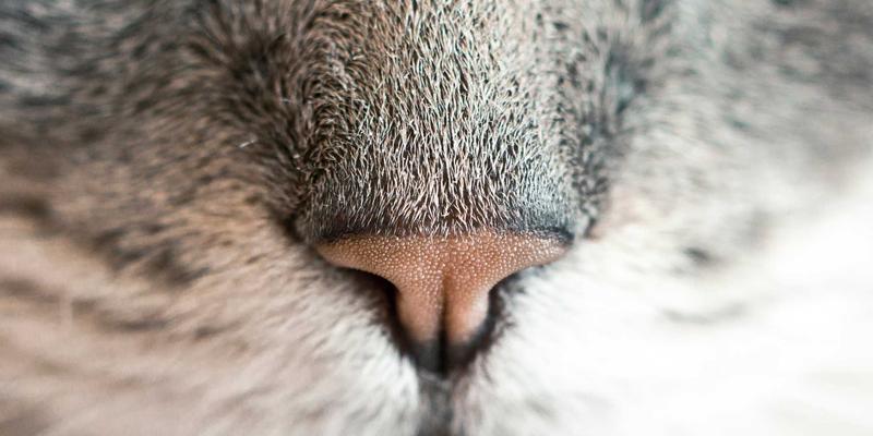 警惕历史虚无主义：当代文化论坛中的表现、根源及其对文化遗产的危害