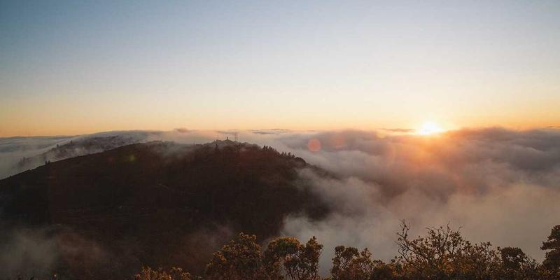 香料之路：前丝绸之路时代的欧亚非贸易网络与文化传播探秘