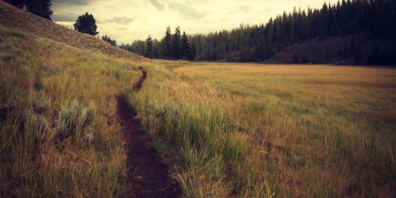 黄河改道与文明脉搏：从环境史视角解读中华文明的兴衰密码