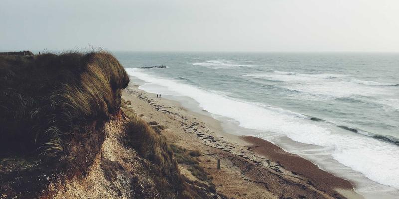黑死病如何重塑欧洲：劳动力短缺、工资革命与封建制度松动的历史研究